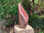 Polished XL Banded Tiger Iron Standing Free Form x 1 From South Africa - Toprock Gemstones and Minerals 