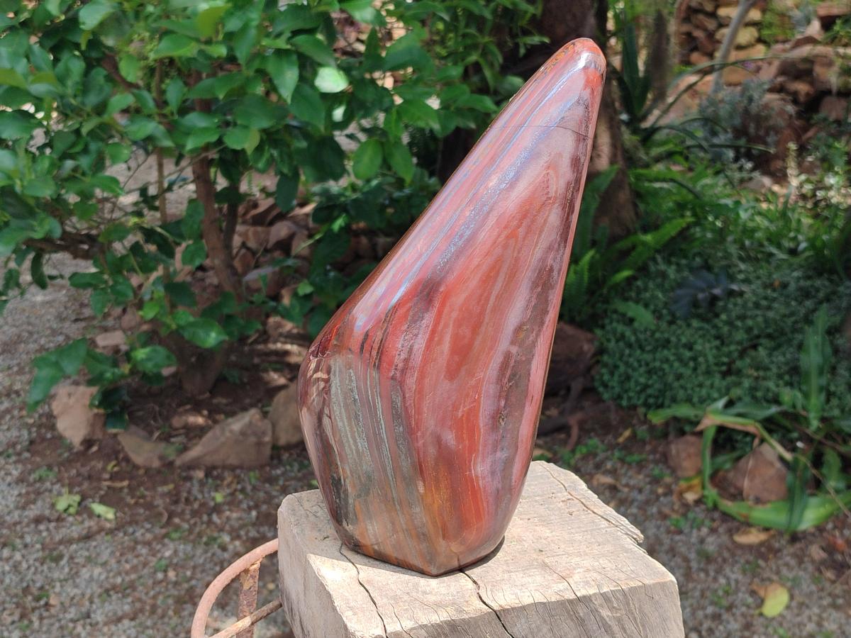 Polished XL Banded Tiger Iron Standing Free Form x 1 From South Africa - Toprock Gemstones and Minerals 