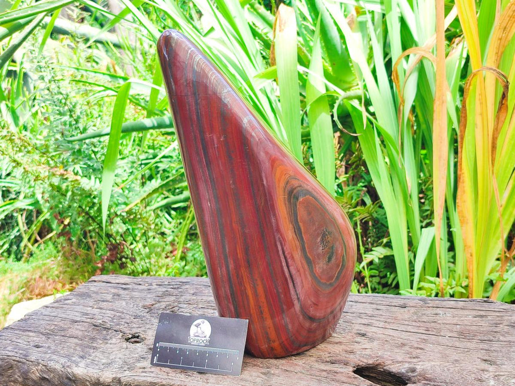 Polished XL Banded Tiger Iron Standing Free Form x 1 From South Africa - Toprock Gemstones and Minerals 