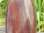 Polished XL Banded Tiger Iron Standing Free Form x 1 From South Africa - Toprock Gemstones and Minerals 