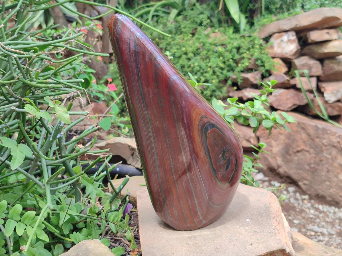 Polished XL Banded Tiger Iron Standing Free Form x 1 From South Africa - Toprock Gemstones and Minerals 