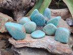 Polished Amazonite Standing Free Forms x 12 From Zimbabwe - Toprock Gemstones and Minerals 