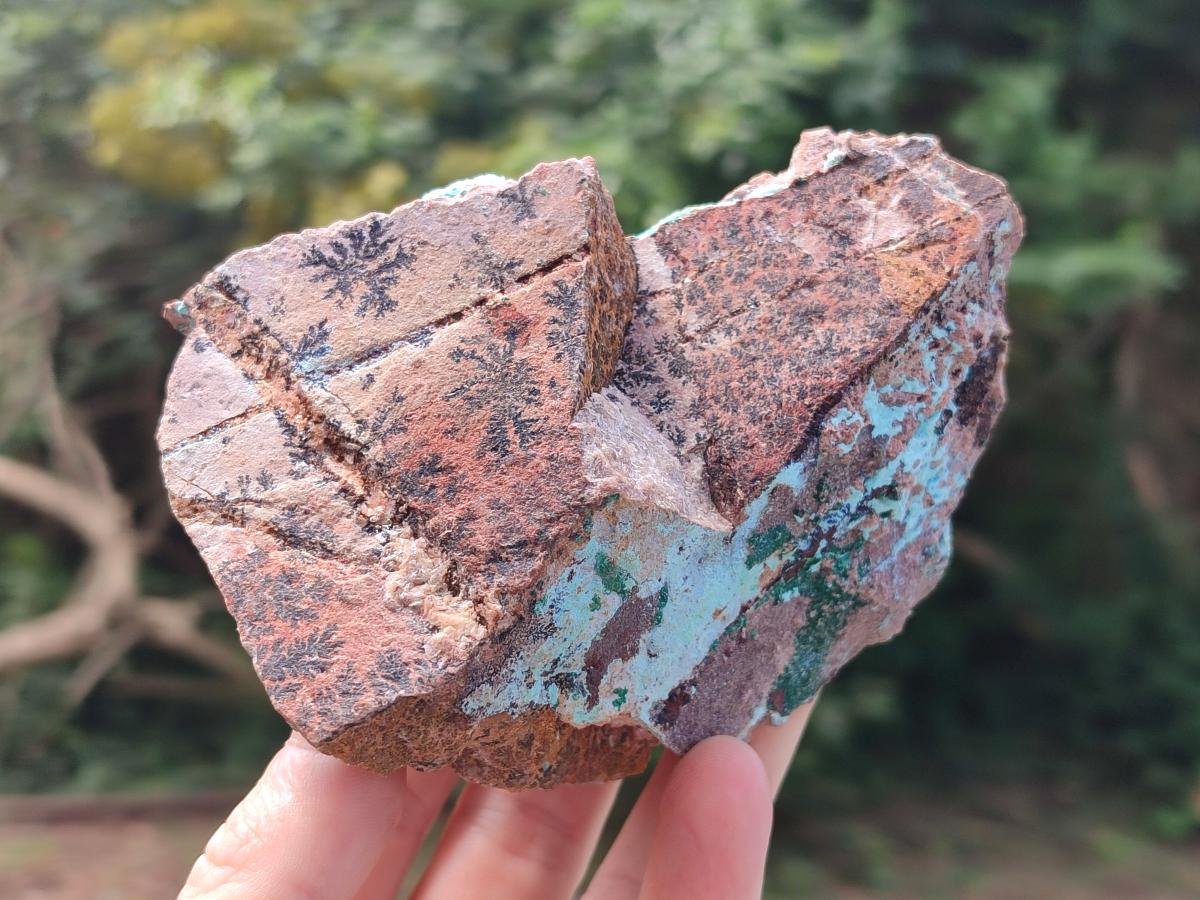 Natural Drusy Coated Chrysocolla with Malachite Pseudomorph Specimens x 3 From Lupoto Mine, Congo - Toprock Gemstones and Minerals 