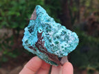 Natural Drusy Coated Chrysocolla with Malachite Pseudomorph Specimens x 3 From Lupoto Mine, Congo - Toprock Gemstones and Minerals 