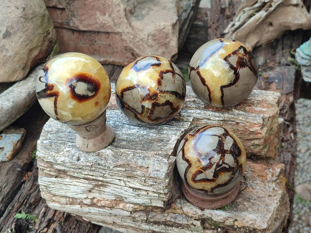 Polished Septerye Spheres x 4 From Mahajanga, Madagascar - Toprock Gemstones and Minerals 