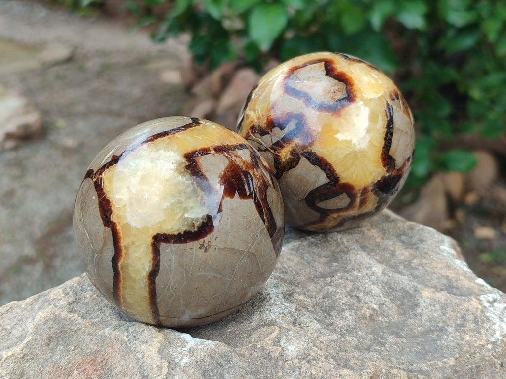 Polished Septerye Spheres x 4 From Mahajanga, Madagascar - Toprock Gemstones and Minerals 