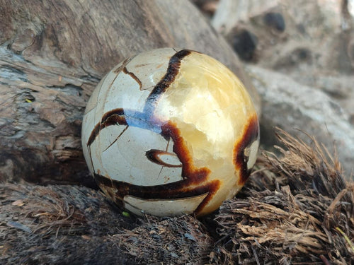 Polished Septerye Spheres x 4 From Mahajanga, Madagascar - Toprock Gemstones and Minerals 