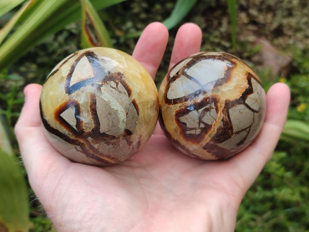 Polished Septerye Spheres x 4 From Mahajanga, Madagascar - Toprock Gemstones and Minerals 