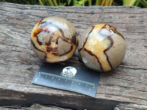 Polished Septerye Spheres x 4 From Mahajanga, Madagascar - Toprock Gemstones and Minerals 