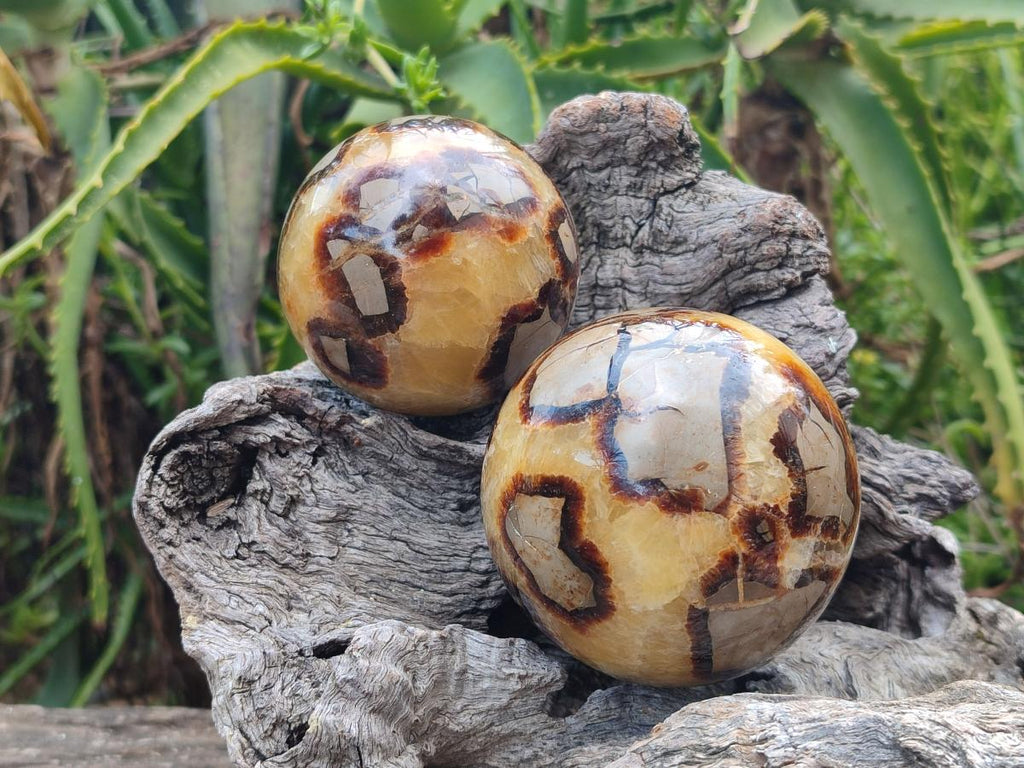 Polished Septerye Spheres x 4 From Mahajanga, Madagascar - Toprock Gemstones and Minerals 