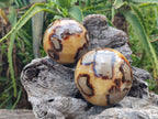 Polished Septerye Spheres x 4 From Mahajanga, Madagascar - Toprock Gemstones and Minerals 