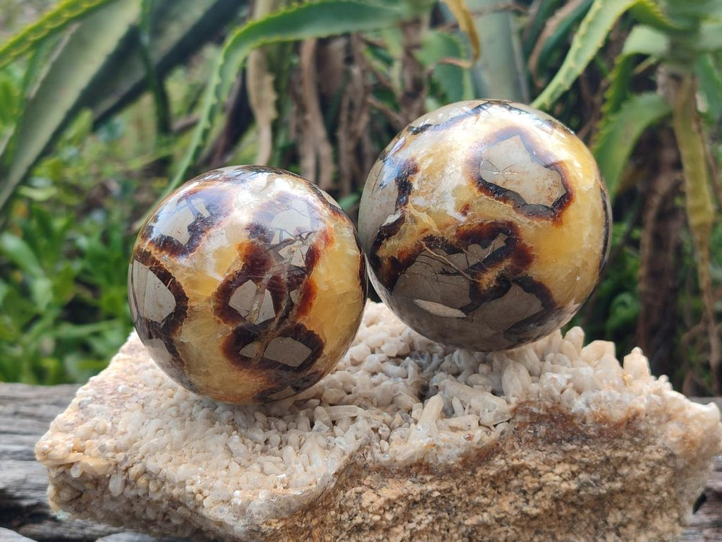 Polished Septerye Spheres x 4 From Mahajanga, Madagascar - Toprock Gemstones and Minerals 