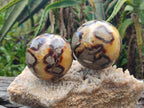 Polished Septerye Spheres x 4 From Mahajanga, Madagascar - Toprock Gemstones and Minerals 