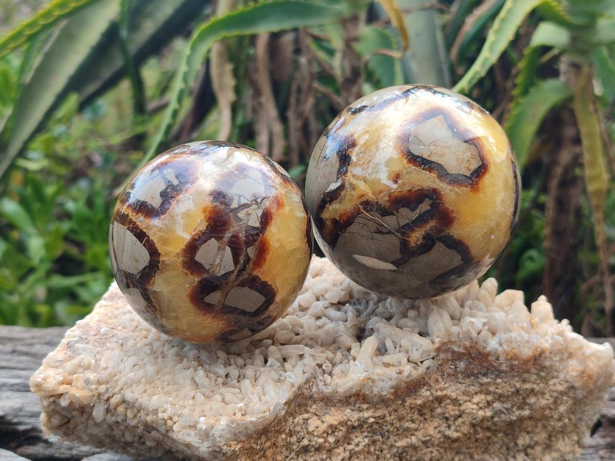 Polished Septerye Spheres x 4 From Mahajanga, Madagascar - Toprock Gemstones and Minerals 