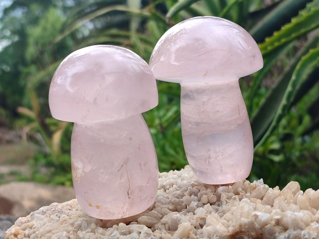 Polished Gemmy Rose Quartz Mushrooms x 6 From Madagascar - Toprock Gemstones and Minerals 
