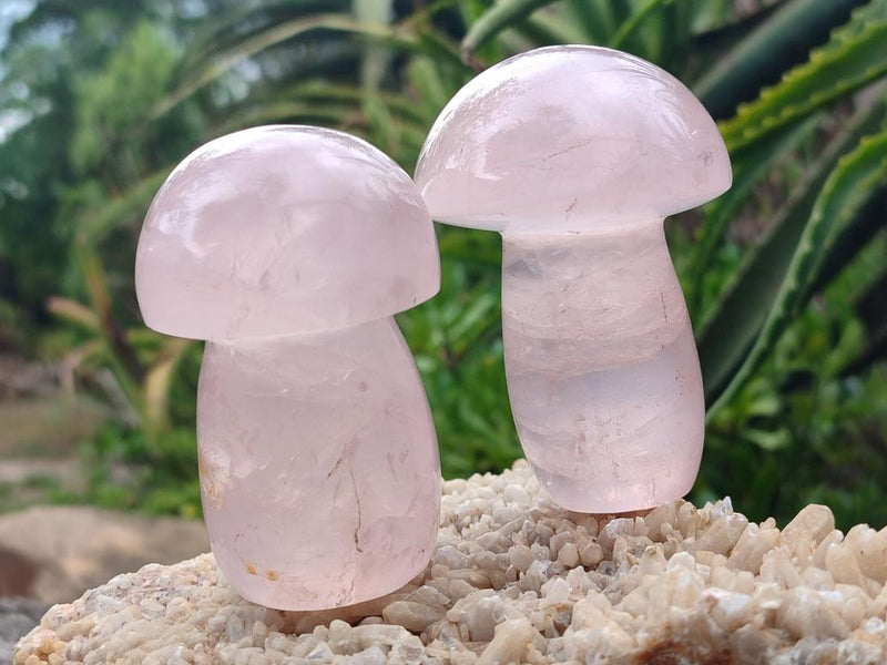 Polished Gemmy Rose Quartz Mushrooms x 6 From Madagascar - Toprock Gemstones and Minerals 