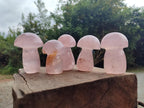 Polished Gemmy Rose Quartz Mushrooms x 6 From Madagascar - Toprock Gemstones and Minerals 