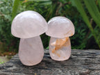 Polished Gemmy Rose Quartz Mushrooms x 6 From Madagascar - Toprock Gemstones and Minerals 
