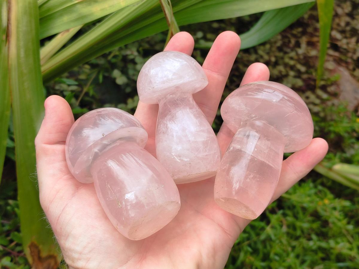 Polished Gemmy Rose Quartz Mushrooms x 6 From Madagascar - Toprock Gemstones and Minerals 