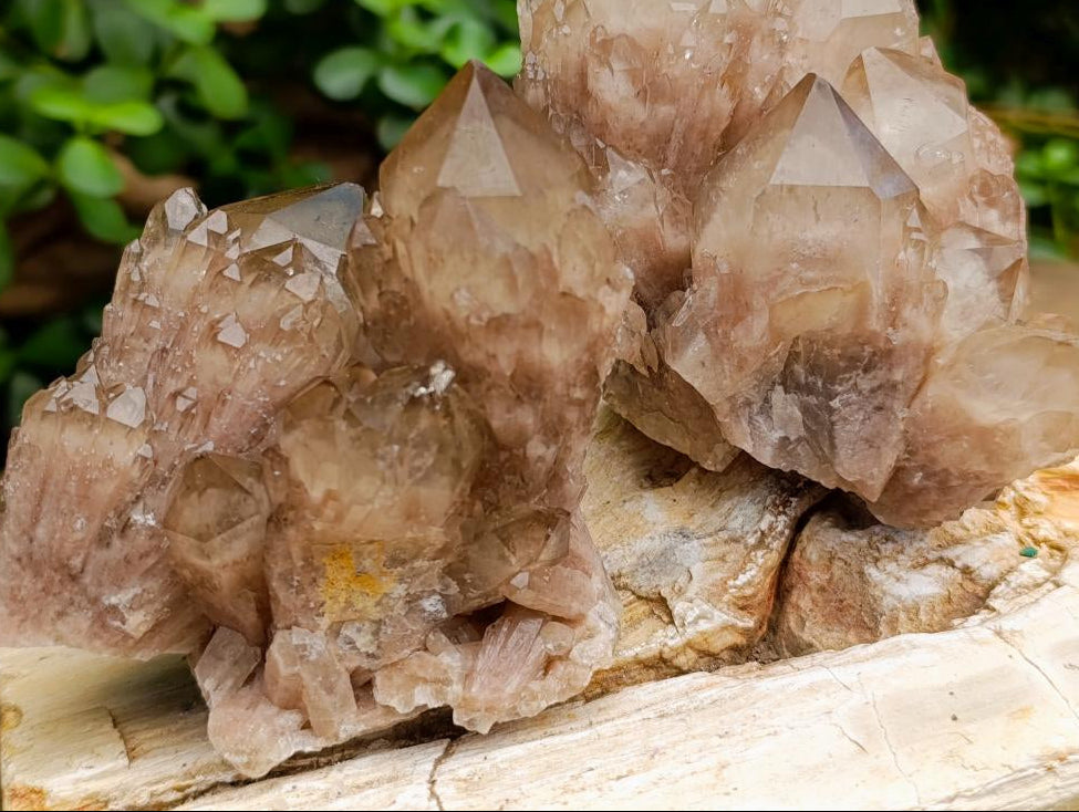 Natural Smokey Phantom Quartz Clusters x 6 From Luena, Congo - Toprock Gemstones and Minerals 