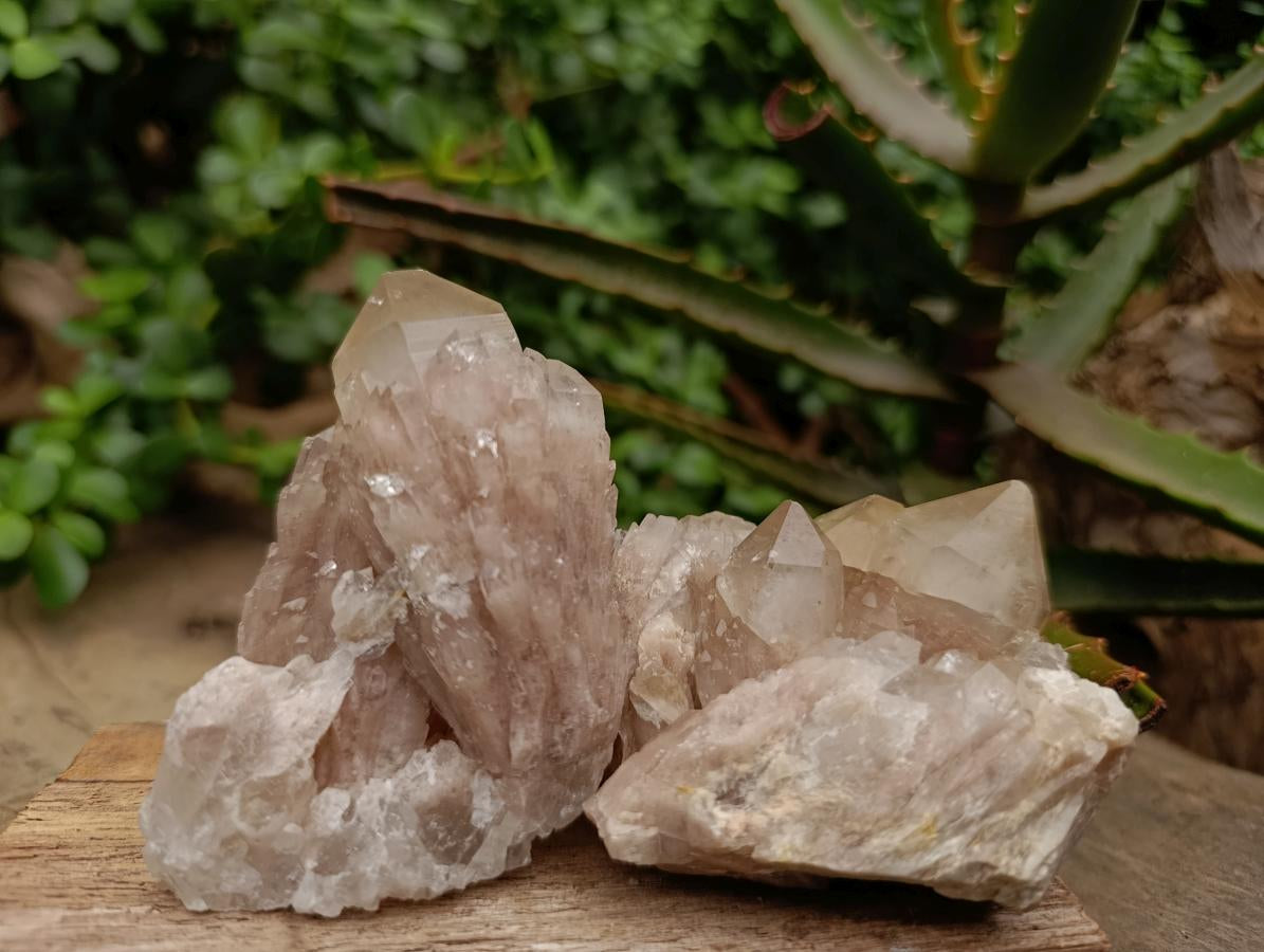 Natural Smokey Phantom Quartz Clusters x 6 From Luena, Congo - Toprock Gemstones and Minerals 