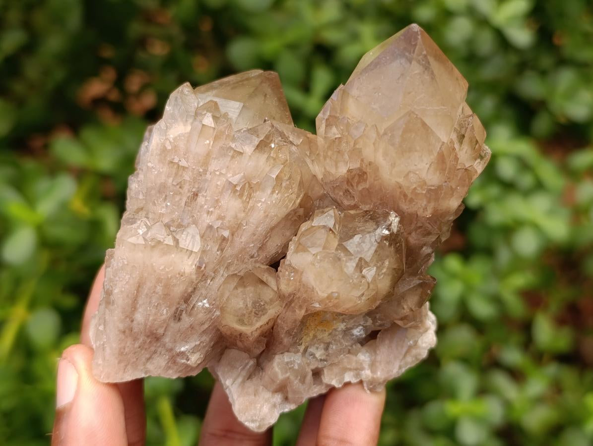 Natural Smokey Phantom Quartz Clusters x 6 From Luena, Congo - Toprock Gemstones and Minerals 