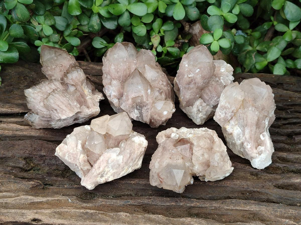 Natural Smokey Phantom Quartz Clusters x 6 From Luena, Congo - Toprock Gemstones and Minerals 