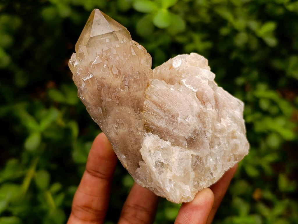 Natural Smokey Phantom Quartz Clusters x 6 From Luena, Congo - Toprock Gemstones and Minerals 