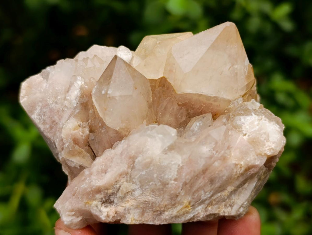 Natural Smokey Phantom Quartz Clusters x 6 From Luena, Congo - Toprock Gemstones and Minerals 