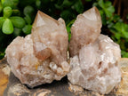 Natural Smokey Phantom Quartz Clusters x 6 From Luena, Congo - Toprock Gemstones and Minerals 