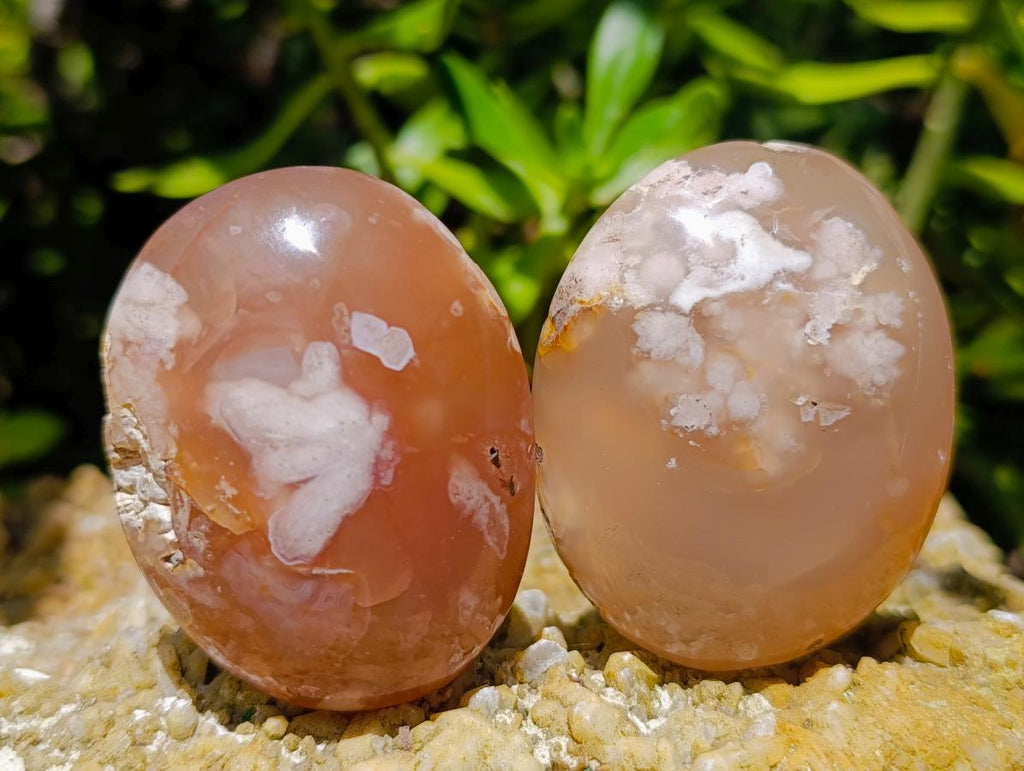 Polished Flower Agate Palm Stones x 24 From Antsahalova, Madagascar - Toprock Gemstones and Minerals 