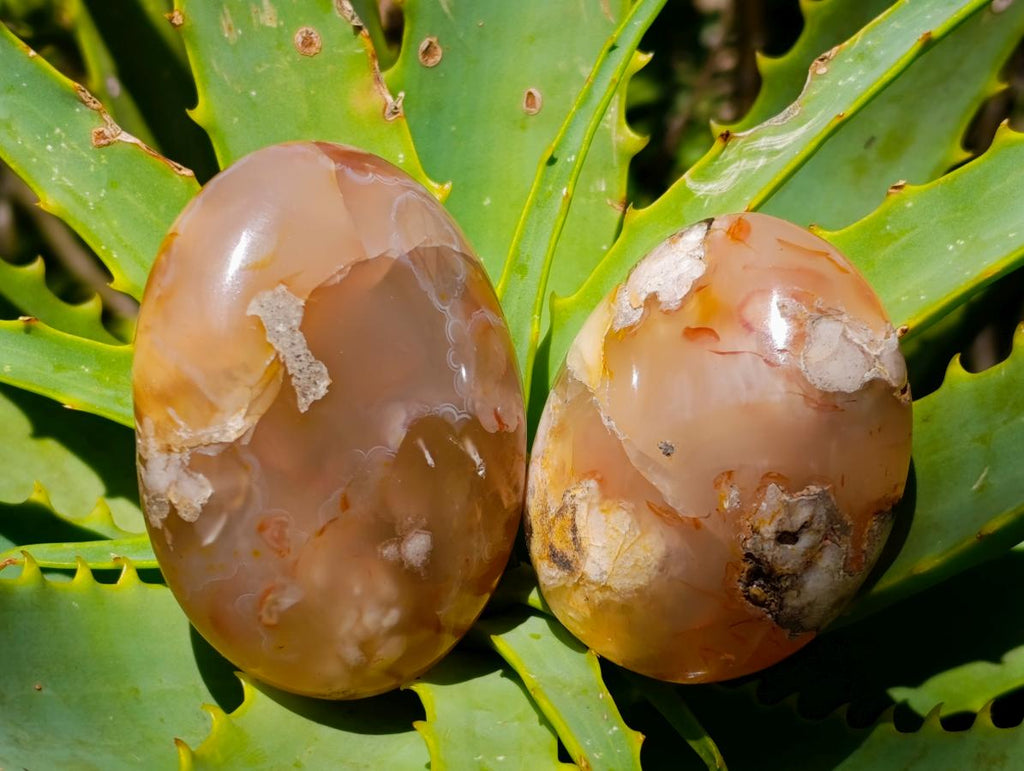 Polished Flower Agate Palm Stones x 24 From Antsahalova, Madagascar - Toprock Gemstones and Minerals 
