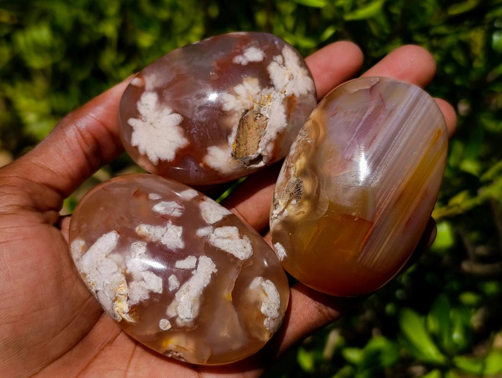 Polished Flower Agate Palm Stones x 24 From Antsahalova, Madagascar - Toprock Gemstones and Minerals 