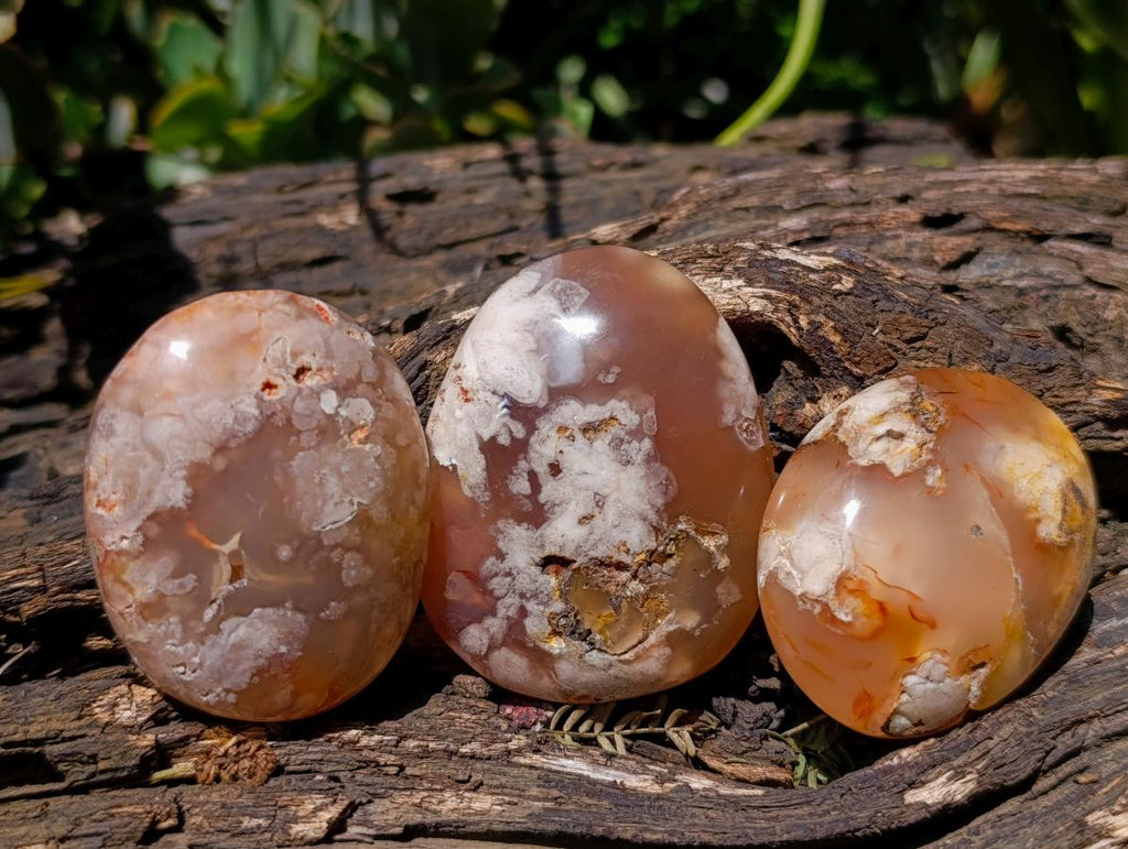 Polished Flower Agate Palm Stones x 24 From Antsahalova, Madagascar - Toprock Gemstones and Minerals 