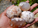 Polished Flower Agate Palm Stones x 24 From Antsahalova, Madagascar - Toprock Gemstones and Minerals 