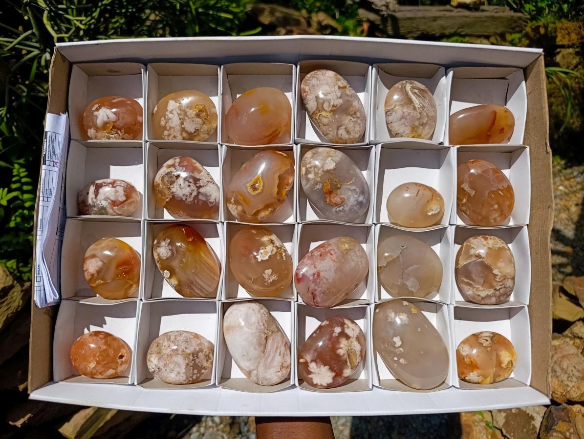 Polished Flower Agate Palm Stones x 24 From Antsahalova, Madagascar - Toprock Gemstones and Minerals 