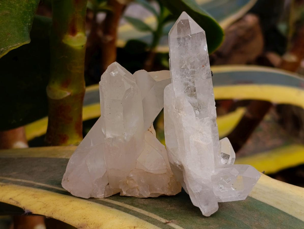 Natural Clear Quartz Crystals and Clusters x 35 From Madagascar - Toprock Gemstones and Minerals 