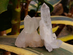 Natural Clear Quartz Crystals and Clusters x 35 From Madagascar - Toprock Gemstones and Minerals 