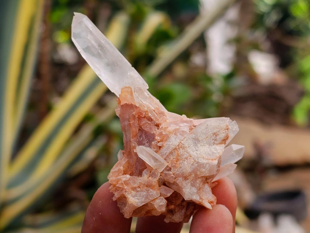 Natural Clear Quartz Crystals and Clusters x 35 From Madagascar - Toprock Gemstones and Minerals 