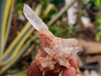 Natural Clear Quartz Crystals and Clusters x 35 From Madagascar - Toprock Gemstones and Minerals 