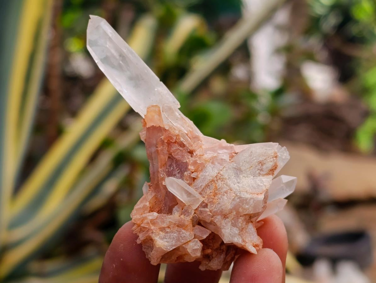 Natural Clear Quartz Crystals and Clusters x 35 From Madagascar - Toprock Gemstones and Minerals 