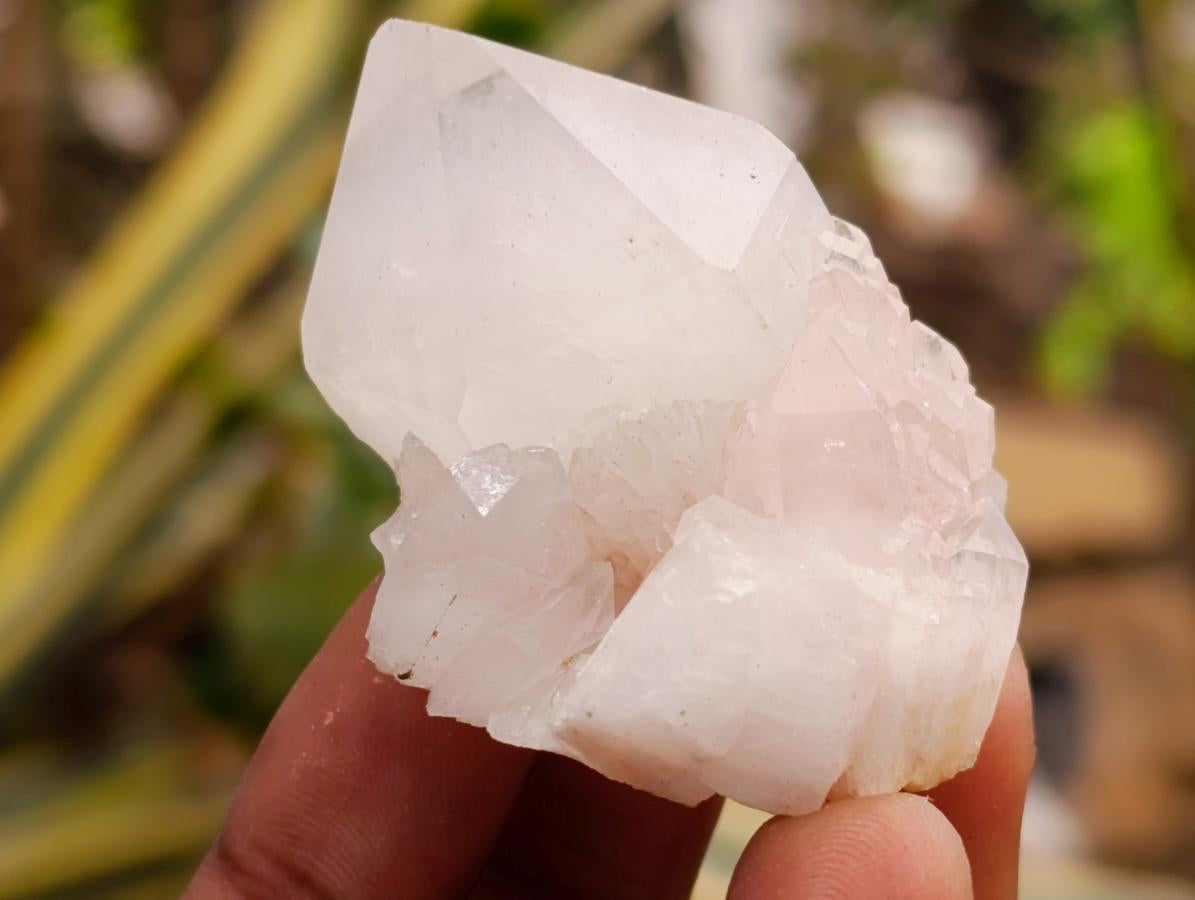 Natural Clear Quartz Crystals and Clusters x 35 From Madagascar - Toprock Gemstones and Minerals 