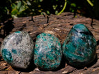 Polished Emerald Mica 'Mutokolite' Standing Free Forms x 12 From Mutoko, Zimbabwe - Toprock Gemstones and Minerals 
