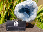 Natural Large Blue Celestite Geode Specimen x 1 From Sakoany, Madagascar - Toprock Gemstones and Minerals 
