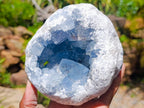 Natural Large Blue Celestite Geode Specimen x 1 From Sakoany, Madagascar - Toprock Gemstones and Minerals 