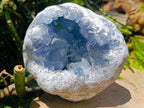 Natural Large Blue Celestite Geode Specimen x 1 From Sakoany, Madagascar - Toprock Gemstones and Minerals 