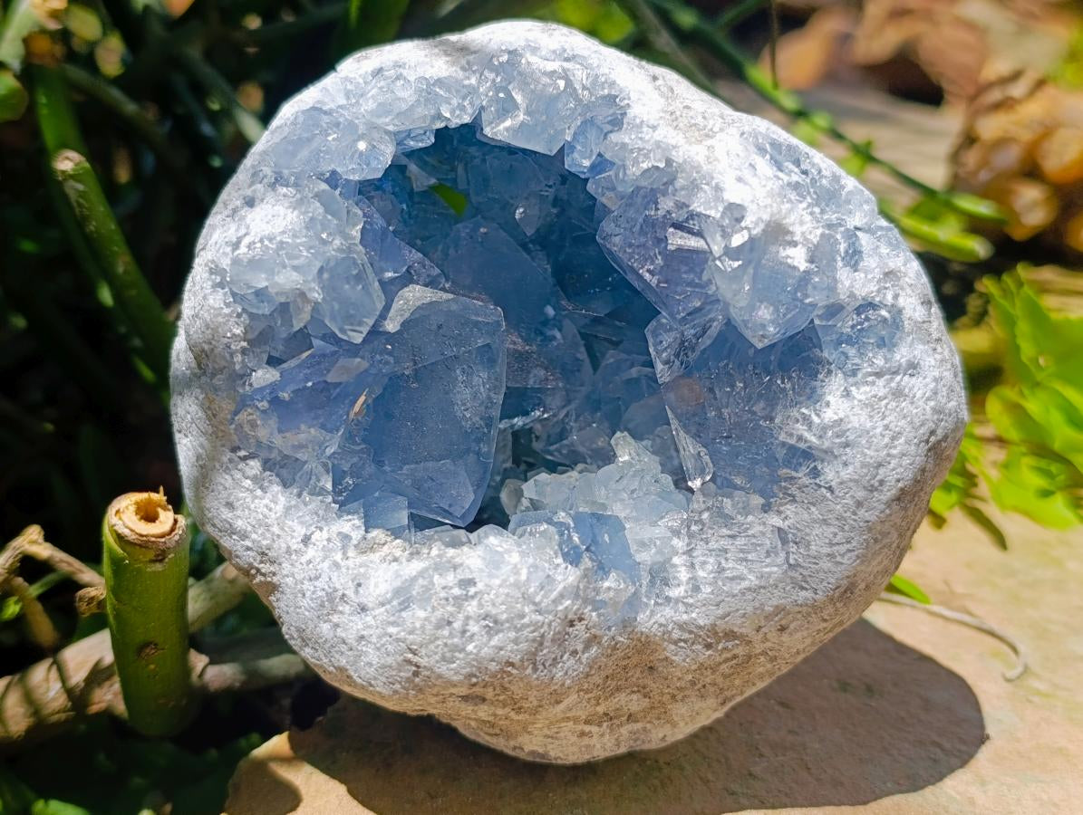 Natural Large Blue Celestite Geode Specimen x 1 From Sakoany, Madagascar - Toprock Gemstones and Minerals 