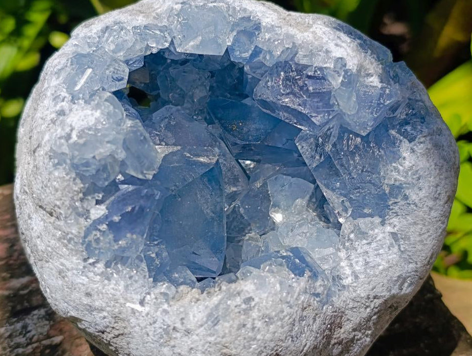 Natural Large Blue Celestite Geode Specimen x 1 From Sakoany, Madagascar - Toprock Gemstones and Minerals 