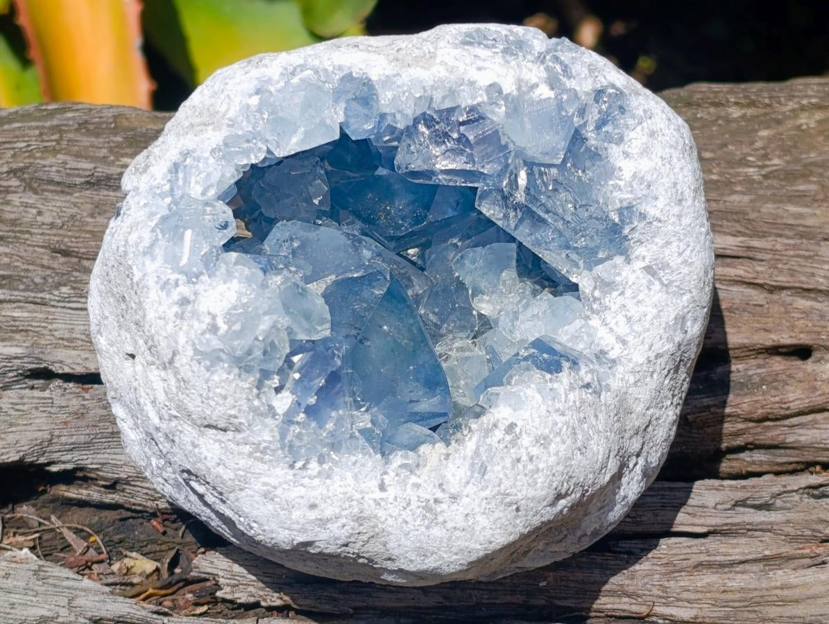 Natural Large Blue Celestite Geode Specimen x 1 From Sakoany, Madagascar - Toprock Gemstones and Minerals 