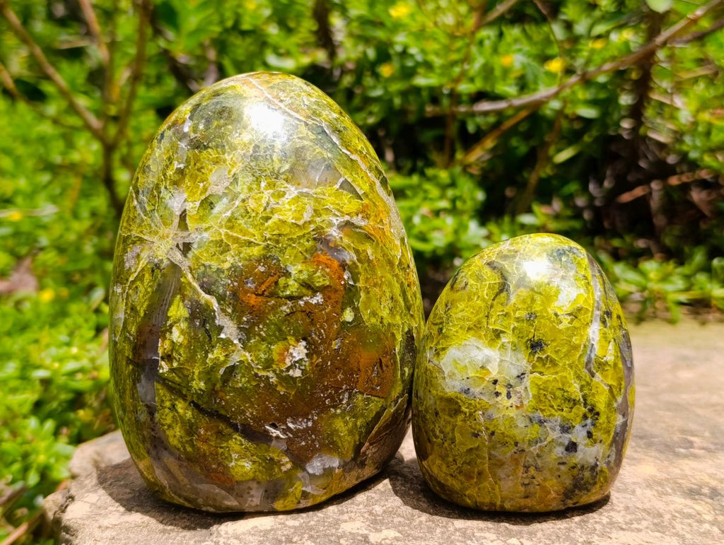 Polished Green Opal Standing Free Forms x 6 From Betroka, Madagascar - Toprock Gemstones and Minerals 